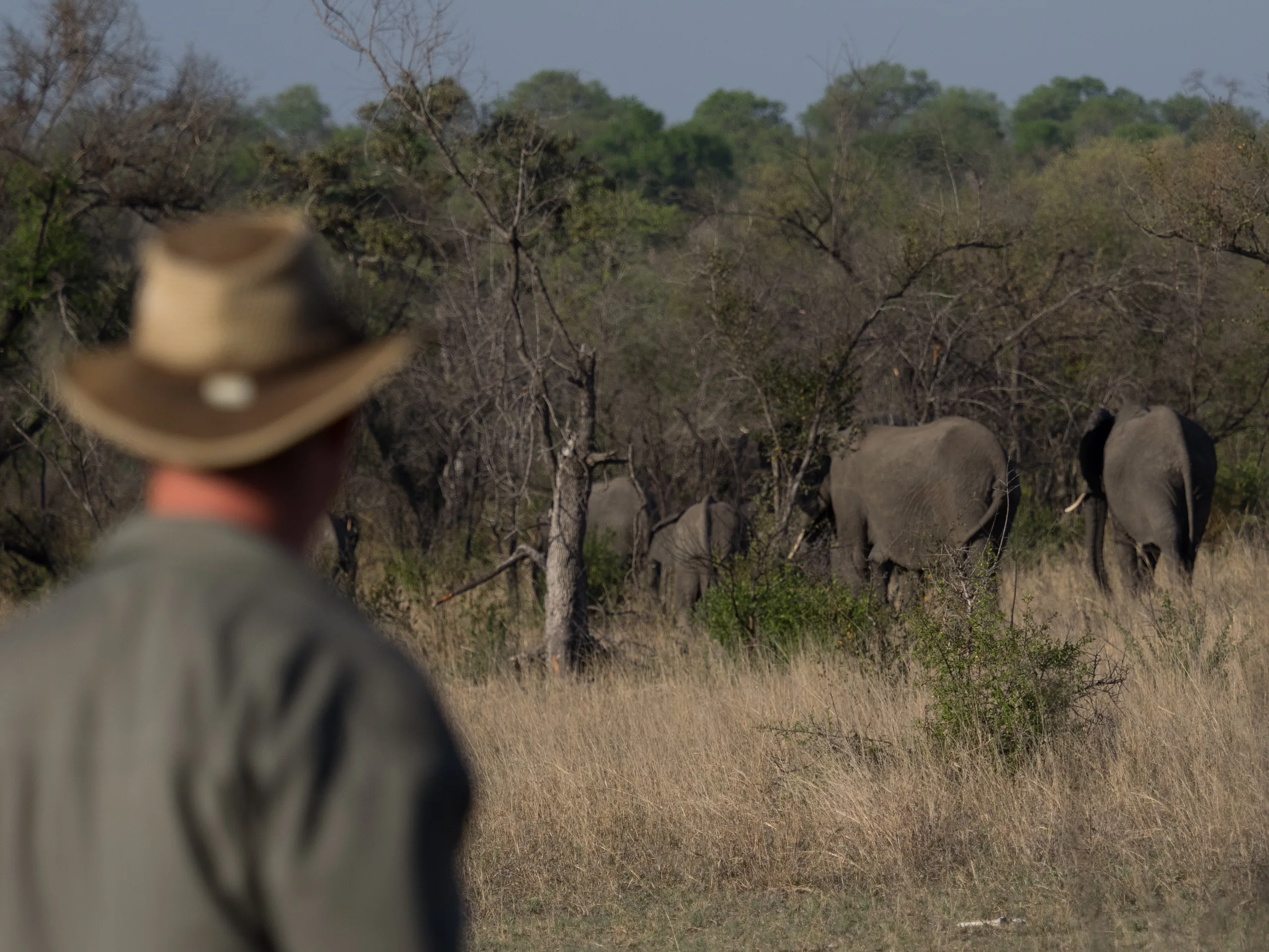 Kruger National Park